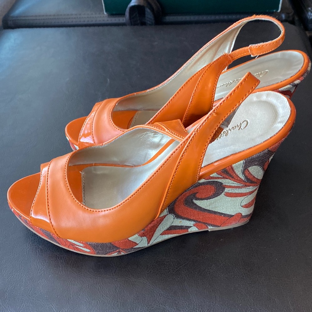Charlotte Russe Beautiful Shoes
